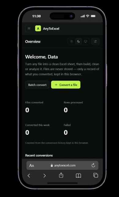 The AnyToExcel dashboard on a phone: the Overview page with Batch convert and Convert a file buttons and conversion counters at zero.